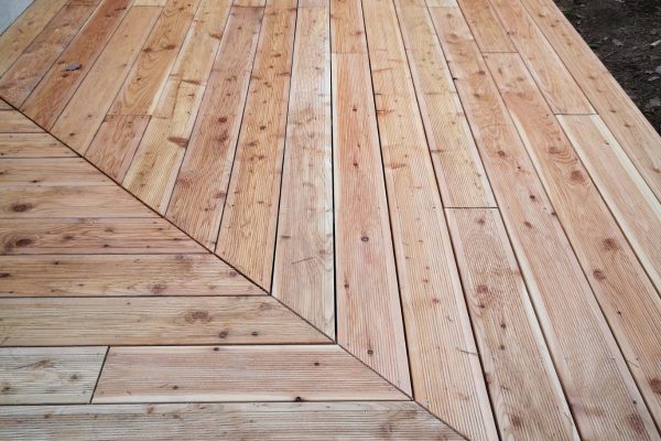 20191106_190150_3b9717ce-4467-45e0-a15d-e337cbcce6ed