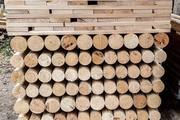 FB_IMG_1606427146934