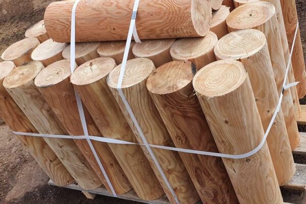 20210421_131915 (1) (2)