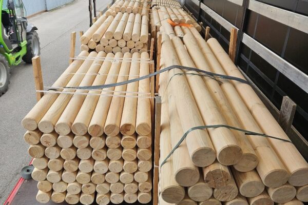 WhatsApp Image 2026-01-15 at 09.53.25