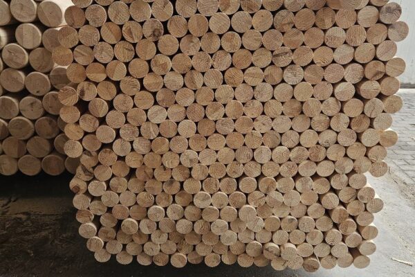 WhatsApp Image 2026-01-15 at 09.53.29 (2)