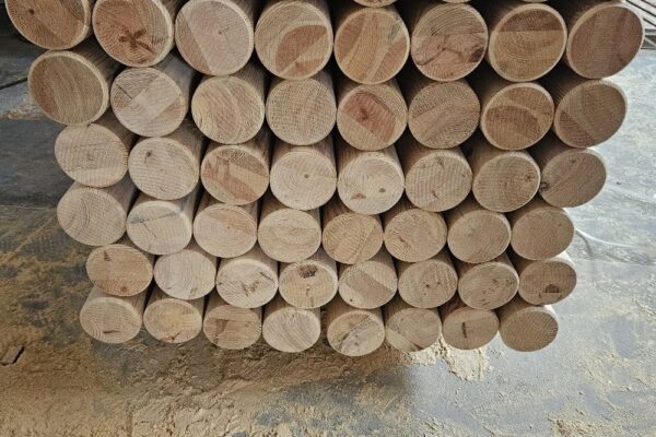 WhatsApp Image 2026-01-15 at 09.53.29